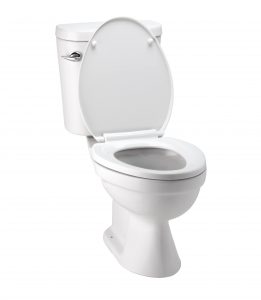 How to Replace a Toilet Seat
