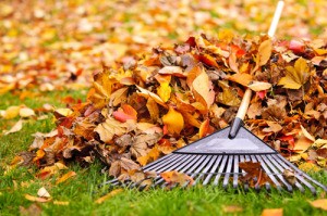 Prepare Your Homes Plumbing For Fall Schererville IN
