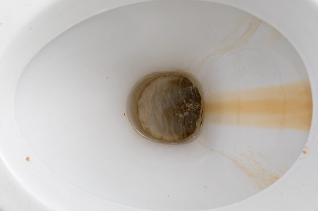 How to Prevent Rust Stains in Your Toilet