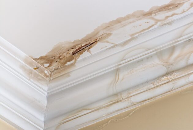 What to Do When You Come Home to Find Water Damage After Summer Vacation