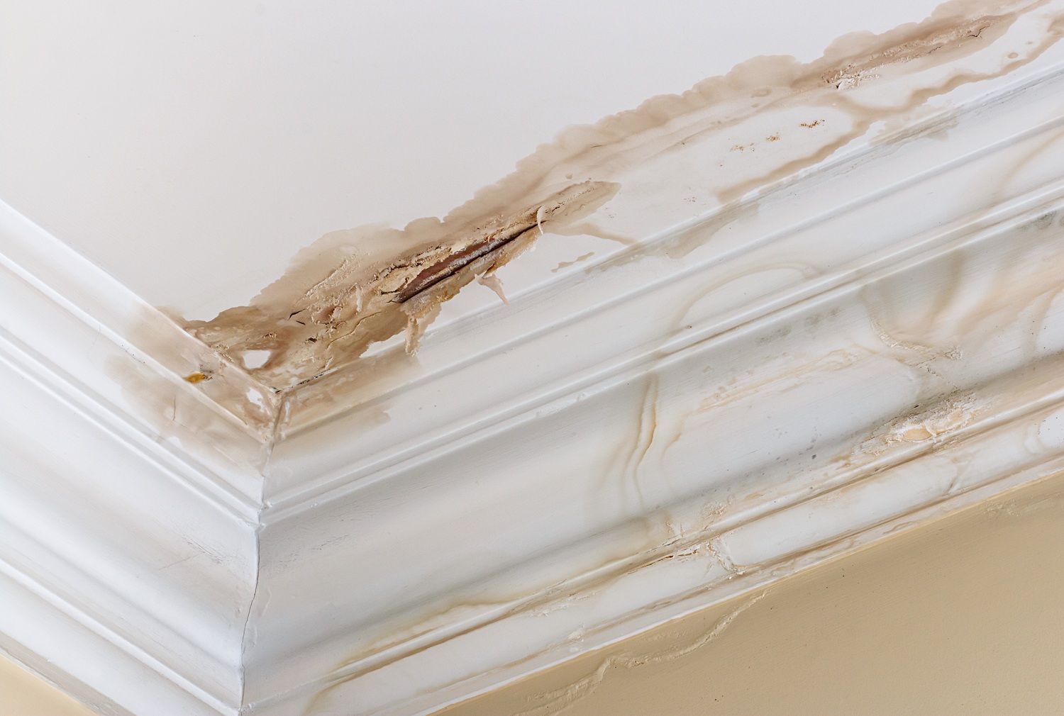 What to Do When You Come Home to Find Water Damage After Summer Vacation
