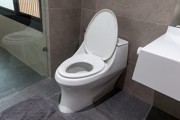 Worms in Toilet: Here’s What’s Going On